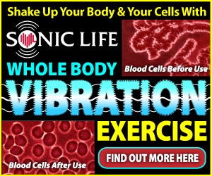 whole body vibration machine from sonic life