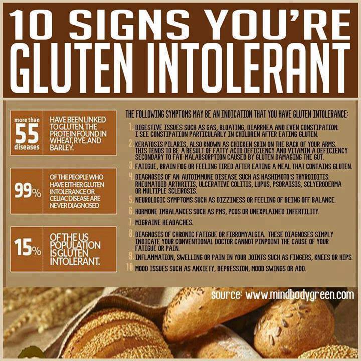 The Gluten Free Diet Plan: What You Need To Know